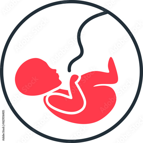 Fetus