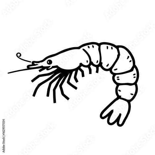 shrimp vector illustration