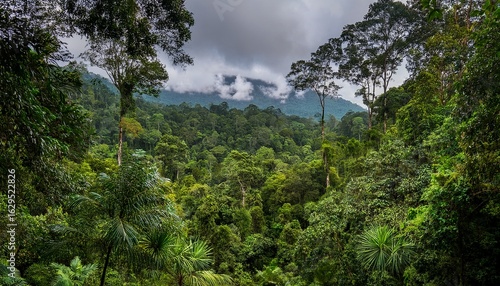dense tropical rainforest canopy near temerloh pahang malaysia with a vibrant mix of lush green foliage tall trees and wild undergrowth captured under partly cloudy skies in untouched nature 4k
