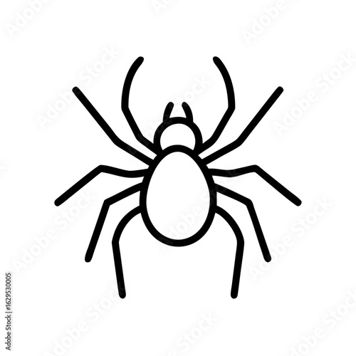 spider on a white background