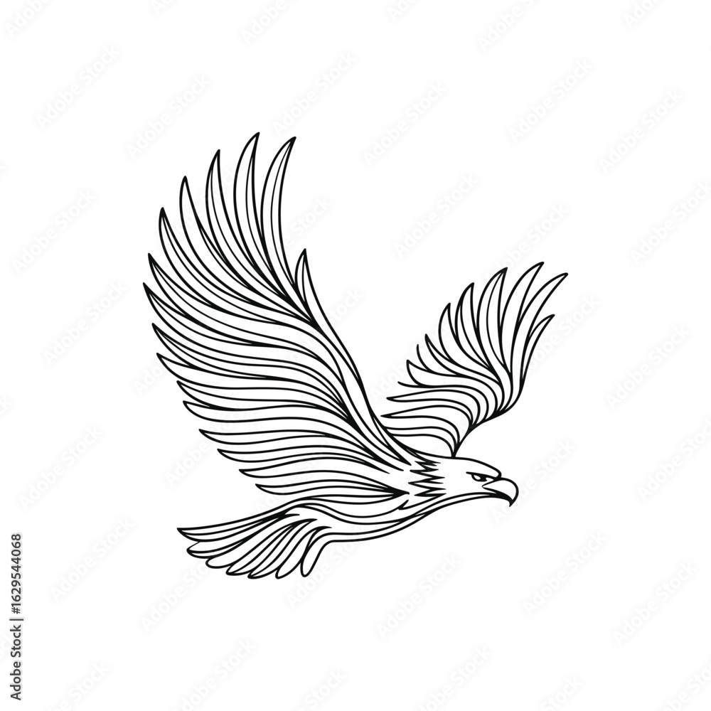 Obraz premium Adobe Illustrator Artwork