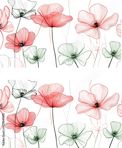 Delicate watercolor poppies with fine line sketch details on white background