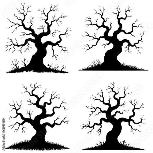 A silhouette of bare trees isolated on a background halloween