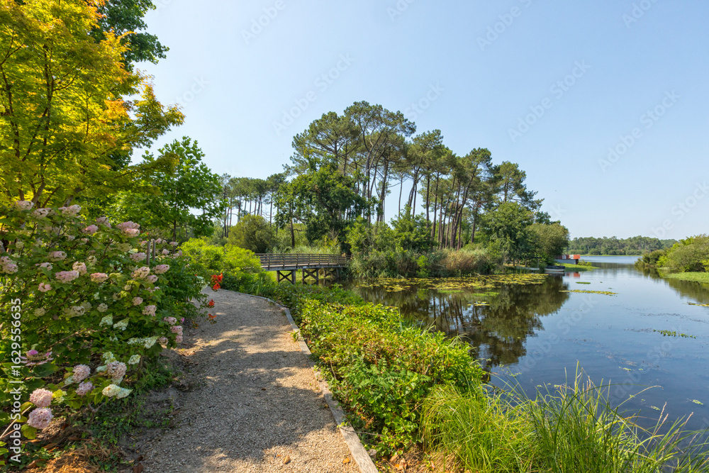Naklejka premium View from Promenade Fleurie at Mimizan to Étang d'Aureilhan