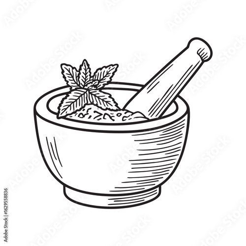 doodle illustration a mortar and pestle with crushed verbena inside