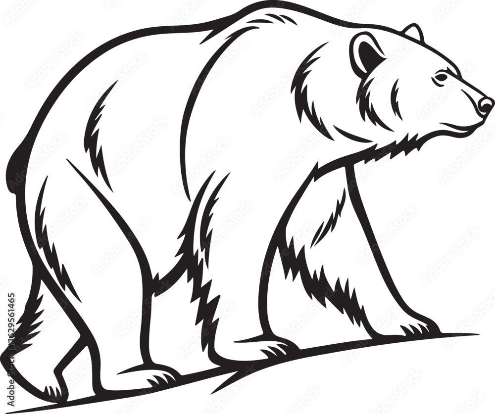 Fototapeta premium vector illustration of a bear