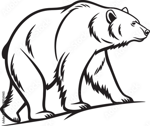 vector illustration of a bear
