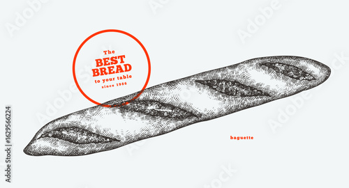 Hand Drawn Vector Baguette Illustration. Not AI Generated. Retro Bakery Isolated Image. Old School Bread Food