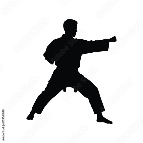  Martial arts practitioner performing dynamic karate kata, powerful side stance, disciplined training,