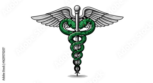 Medical Emblem with Snakes and Wings Symbolizing Healthcare Profession Representation