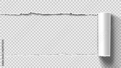 Template of vector torn paper. Ripped paper sheet curl with torn edge and rolled strip. Destroyed document sheet isolated on checkered background. Vector illustration.