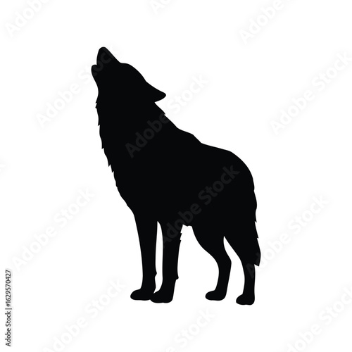 Black silhouette of a wolf howling at the moon isolated on white background