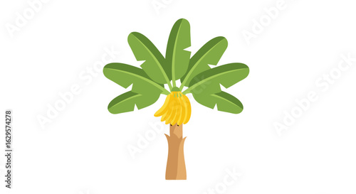 Stylized banana tree illustration conveying tropical vibes and fruit abundance in simplified graphical form with clean lines and modern style