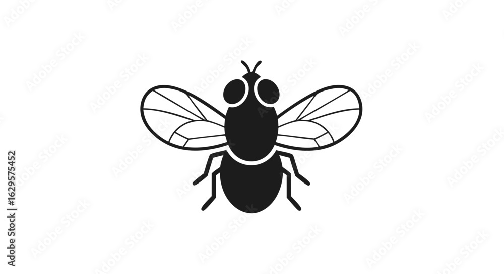 Obraz premium Graphic illustration of a black fly with transparent wings on a white background vector, clip art insect icon design for different uses and projects