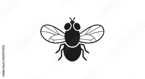 Graphic illustration of a black fly with transparent wings on a white background vector, clip art insect icon design for different uses and projects