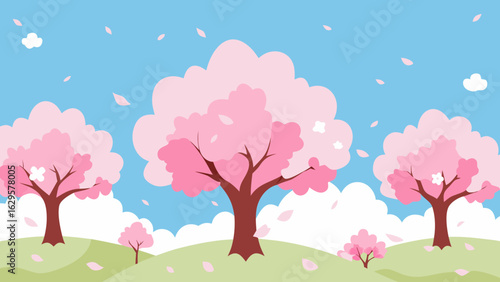 cherry tree in spring