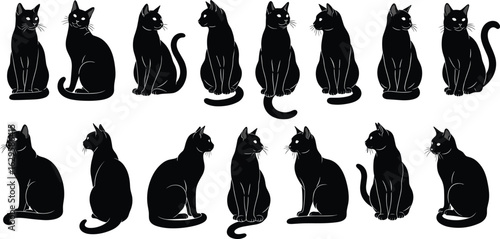 Black cat silhouette collection, sitting cat vector set, feline pet icons, elegant domestic animal design, spooky Halloween cat illustrations
