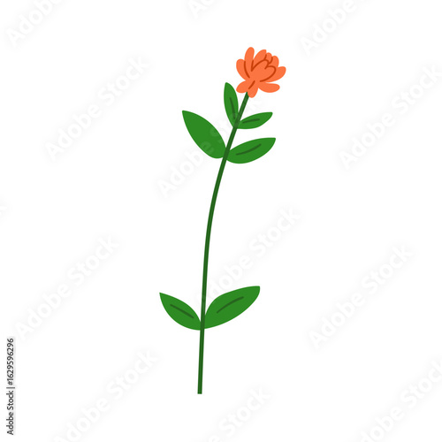 Flower bloom, thin stem with leaves. Floral blossom. Gentle beautiful field p...