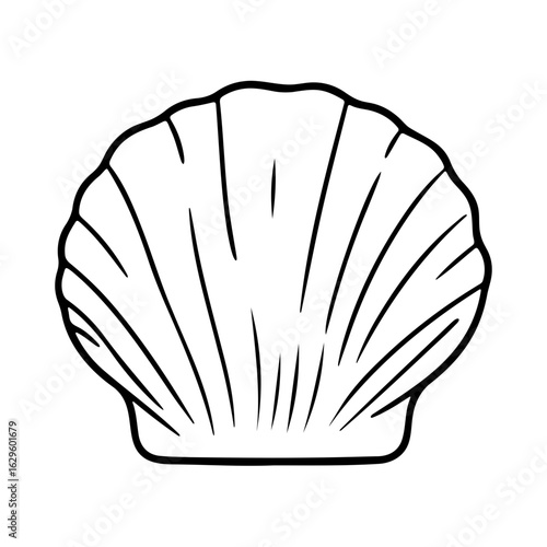 Illustration of a seashell with distinct ridges and a smooth base in a black outline style drawing