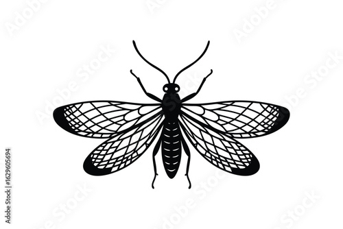 Silhouette design illustration of a lacewing insect with delicate netted wings.eps