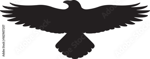 Vector illustration of a majestic eagle or hawk silhouette. A powerful flying bird of prey graphic icon on an isolated background.