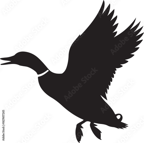 Flying mallard duck silhouette vector graphic. Isolated wildlife bird icon taking off or landing.