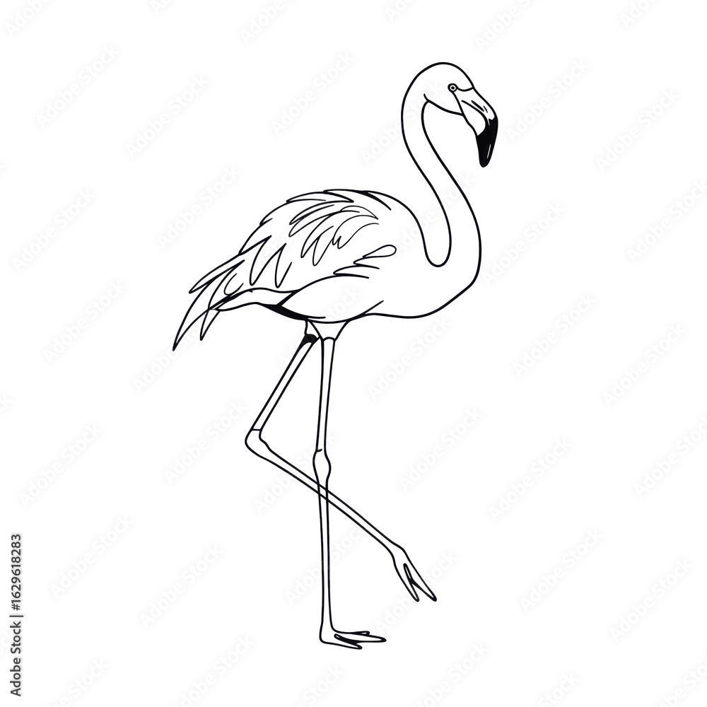 Obraz premium Simple linear sketch, flamingos in minimalist style, in black and white