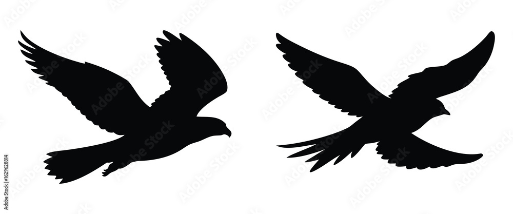 Obraz premium Silhouette of Two Flying Birds Facing Each Other on White Background