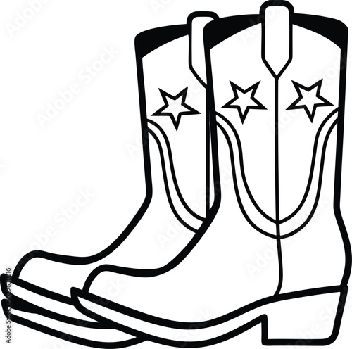 Pair of cowboy boots