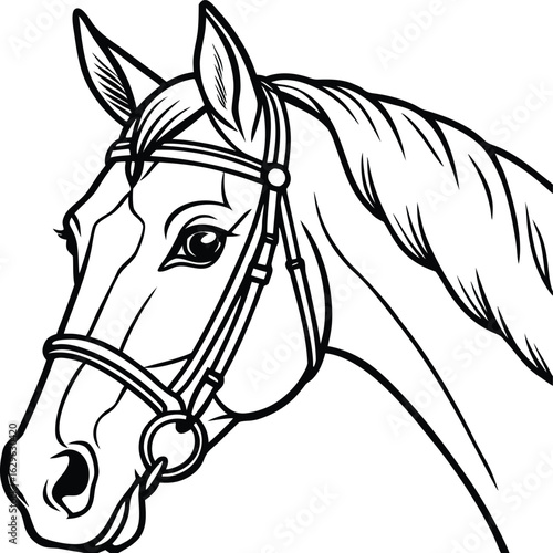 Isolated horse head portrait with flowing mane, a beautiful vector illustration of a brown stallion