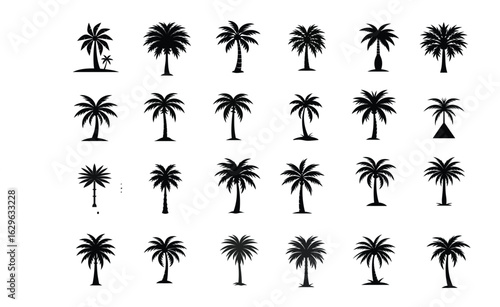 Set of Black Palm Tree Silhouettes on a White Background