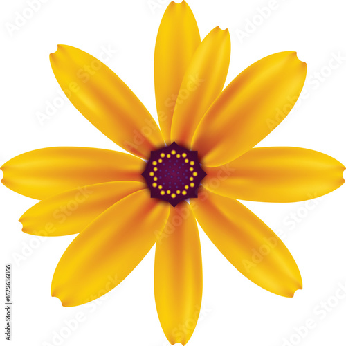 Yellow Flower Vector Illustration