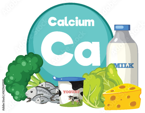 Calcium Rich Foods and Dietary Sources Vector Illustration