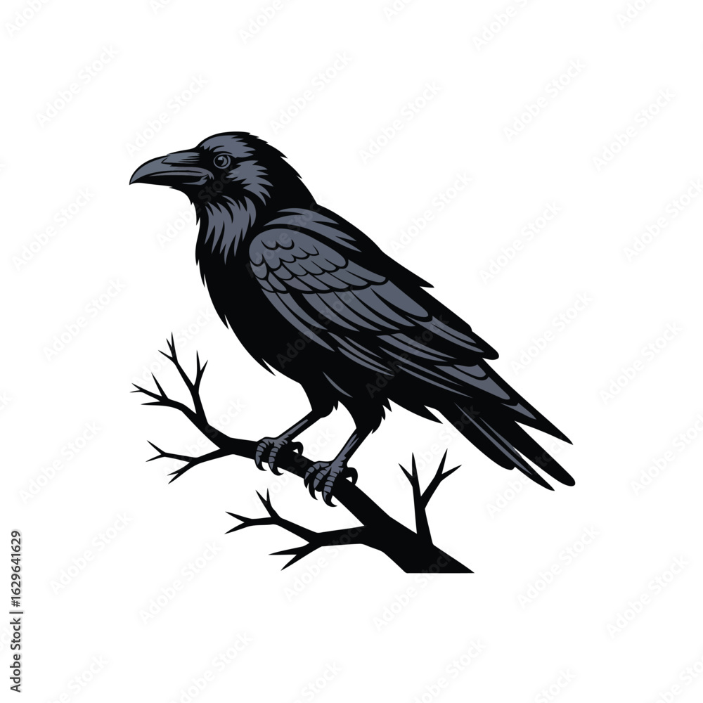 Obraz premium Vector illustration of Majestic Raven Perched on a Bare Branch: Vector Illustration, Bird Artwork, Corvid Design, Nature Graphic