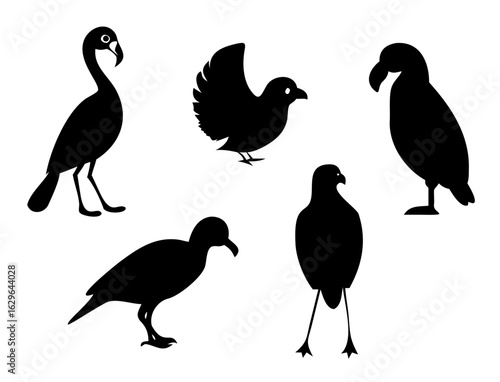 Symbolic representation of avian diversity. A set of black bird silhouettes including a variety of species for wildlife concepts.