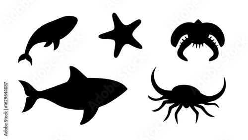 A diverse collection of stylized bird illustrations in a flat vector design. Set of avian fauna including penguin, flamingo, and exotic birds.