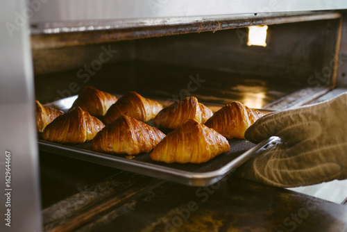 A tray of freshly baked croissants is being pulled out of the oven.