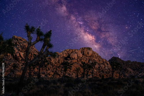 Milky Way core over a Joshua tree and desert landscape
