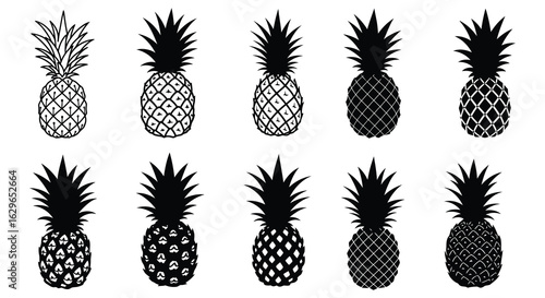 Collection of ten stylized black and white pineapple illustrations with textured patterns and spiky crowns