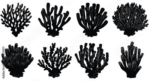 Eight Coral Silhouette Illustrations Set