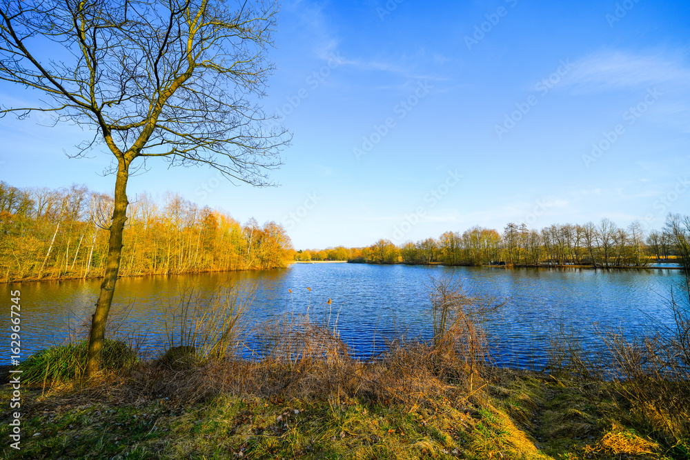 Fototapeta premium View of the forest lake near Saerbeck and the surrounding landscape. Nature in winter near the Saerbeck bathing lake. 