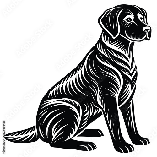 Wallpaper Mural Adobe Illustrator Artwork Torontodigital.ca