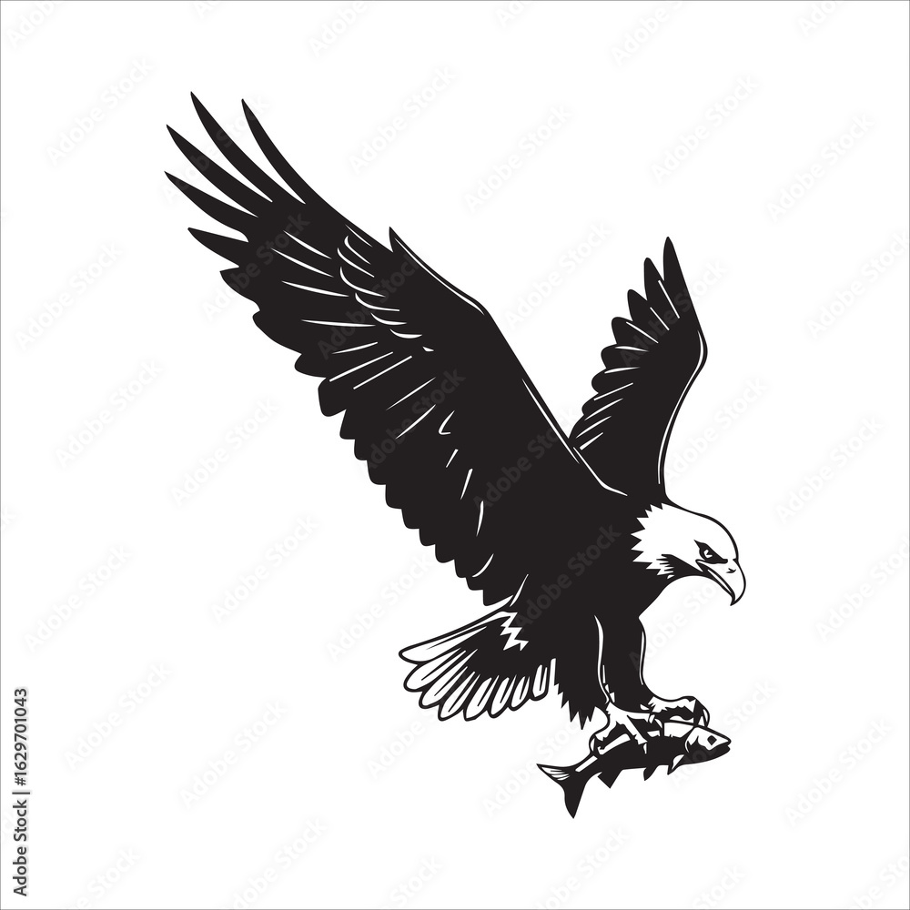 Obraz premium Adobe Illustrator Artwork