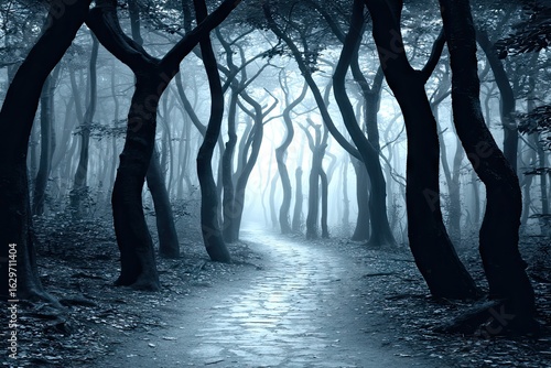 Misty, dark forest path (1)