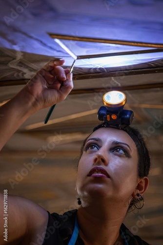 Fotografi Art conservator restoring ceiling with precisions