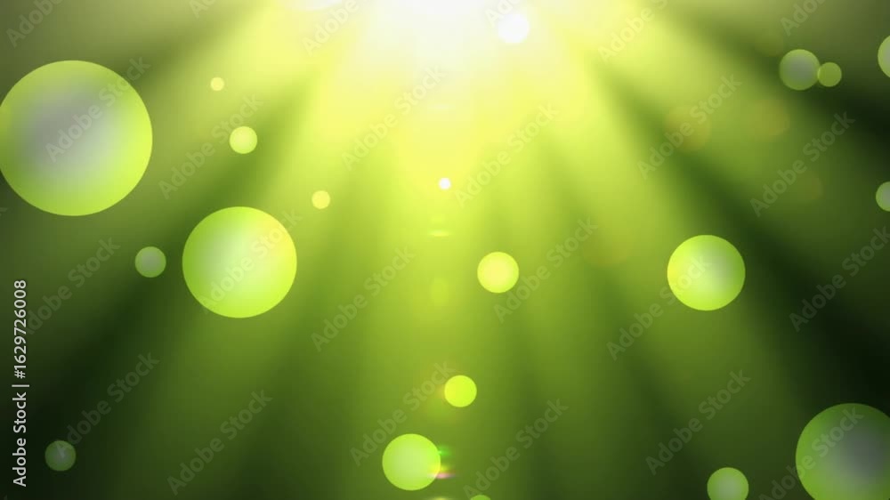 beautiful nature green bokeh background video