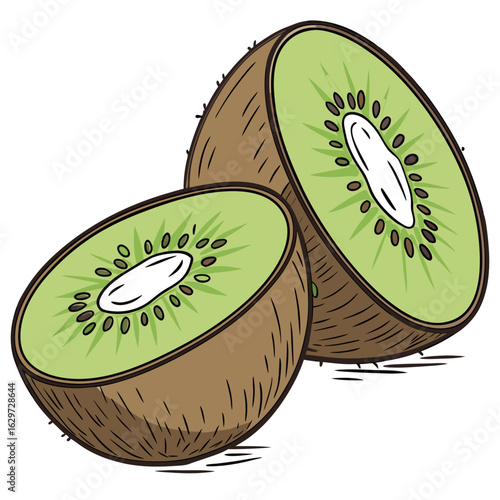 Fresh kiwi fruit cut in half, isolated on white background