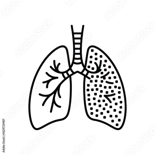 Stylized illustration of human lungs with bronchial tree