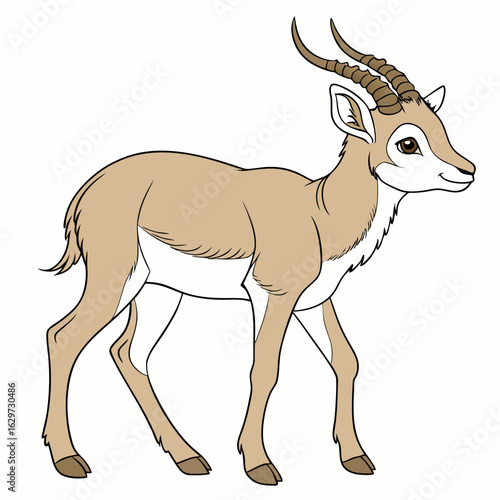 Illustration of a young gazelle antelope isolated on white background