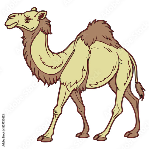 Illustration of a dromedary camel with one hump isolated on a white background